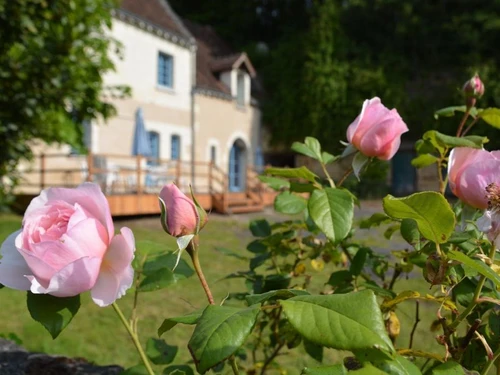 Gite Chambourg-sur-Indre, 5 bedrooms, 11 persons - photo_1011182125082