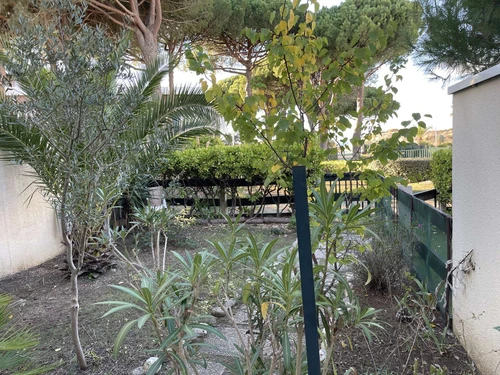 Ferienwohnung Port Camargue, 1 Schlafzimmer, 6 Personen - photo_1011209205790