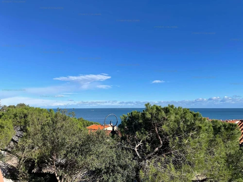 Appartement Collioure, 2 pièces, 2 personnes - photo_1011233900733