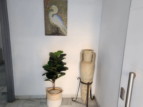 Maison Rincón de la Victoria, 8 pièces, 11 personnes - photo_17525314429