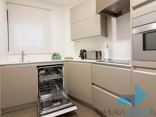 Apartment Málaga, 2 bedrooms, 4 persons - photo_18508859712
