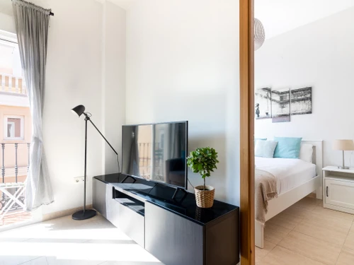 Apartment Málaga, 1 bedroom, 3 persons - photo_18508890985