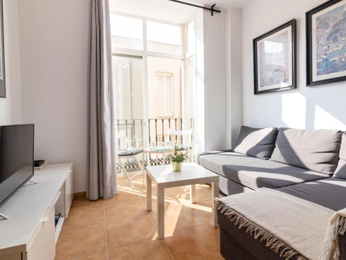 Apartment Málaga, 1 bedroom, 2 persons - photo_19420727293