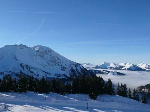 Apartment Avoriaz, 1 bedroom, 5 persons - photo_1011257232271