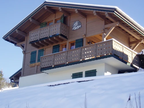 Chalet Les Gets, 4 bedrooms, 10 persons - photo_19574669490