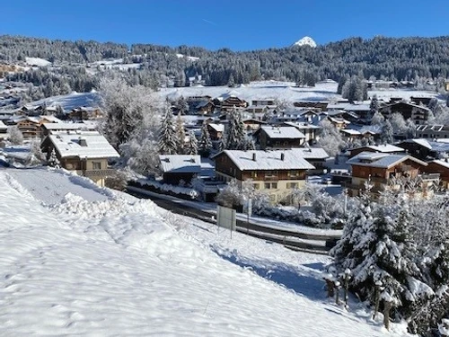 Estudio Les Gets, estudio, 4 personas - photo_18979807012