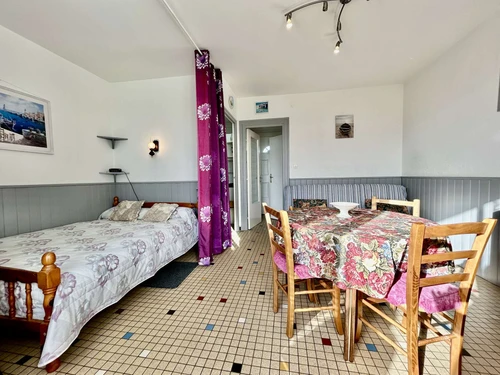 Apartment Saint-Cyprien, studio flat, 4 persons - photo_1011368193164