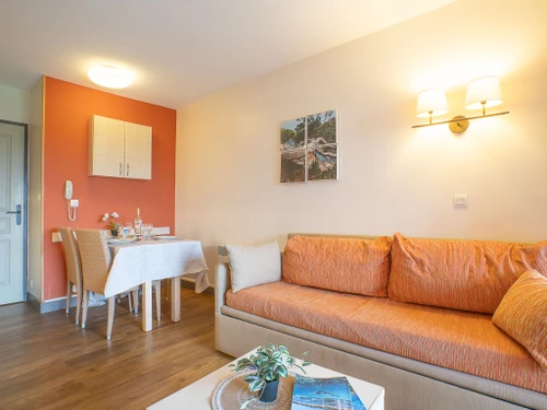 Appartement Saint-Raphaël, 1 pièce, 4 personnes - photo_17315870583