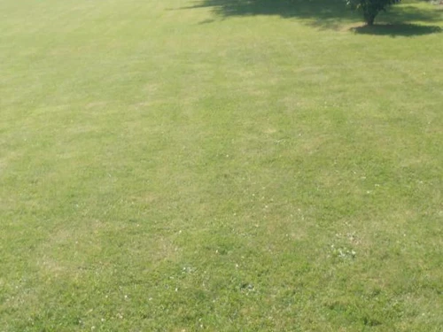 Gasthaus Beussent, 5 Schlafzimmer, 10 Personen - photo_1011378645374