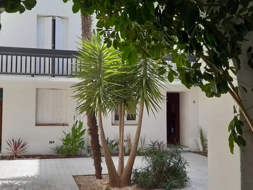Appartement Argelès-sur-Mer, 3 pièces, 6 personnes - photo_1011382354971