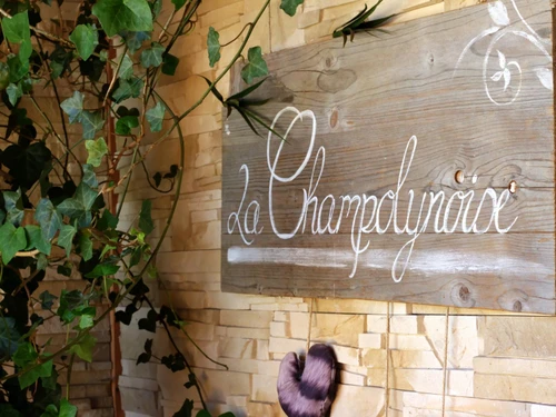 Gîte Champoly, 4 pièces, 6 personnes - photo_17296509098