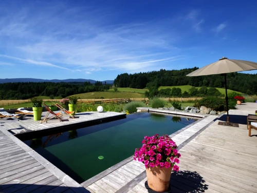 Gîte Champoly, 4 pièces, 6 personnes - photo_17296509098