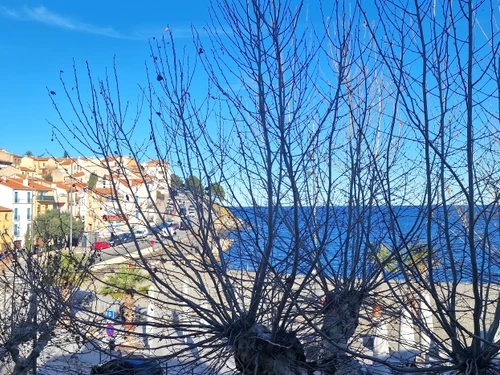 Appartement Banyuls-sur-Mer, 3 pièces, 4 personnes - photo_8415897582