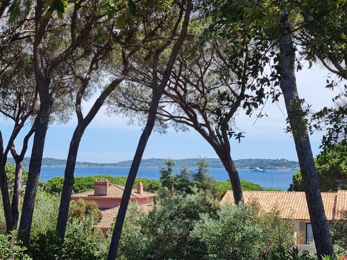 Villa Sainte-Maxime, 3 bedrooms, 6 persons - photo_1011402898952