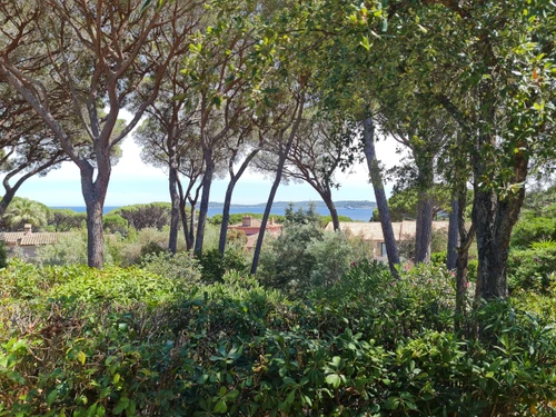 Villa Sainte-Maxime, 3 bedrooms, 6 persons - photo_1011402898952