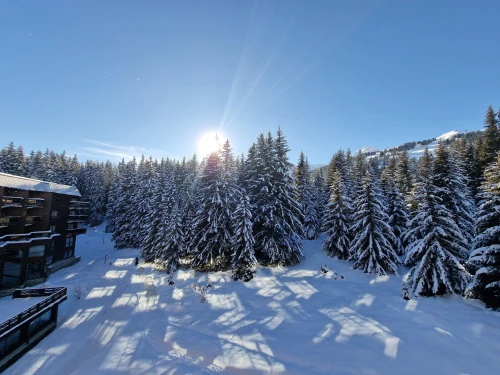 Appartement Courchevel, 4 pièces, 6 personnes - photo_1011341310462