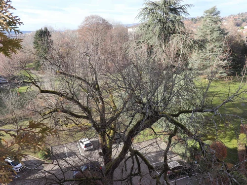 Apartment Annecy, 1 bedroom, 2 persons - photo_14625443309