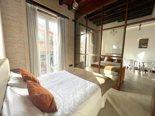 Apartment Seville, 1 bedroom, 4 persons - photo_19590078784