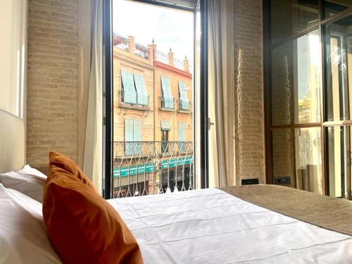 Apartment Seville, 1 bedroom, 4 persons - photo_19590078784