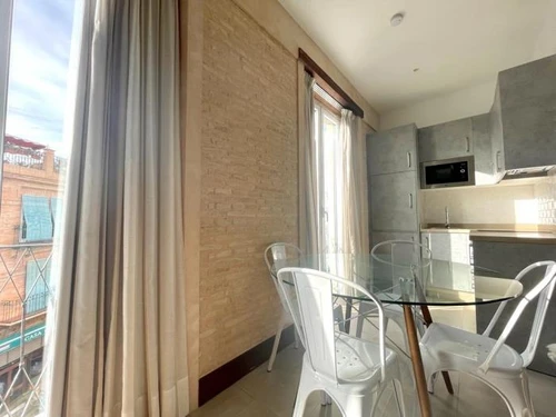 Apartment Seville, 1 bedroom, 4 persons - photo_19590078784