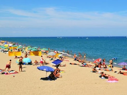 Villa Le Barcarès, 2 pièces, 4 personnes - photo_1011536102687