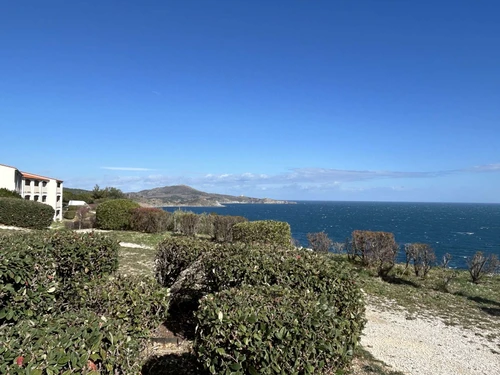 Apartment Banyuls-sur-Mer, 1 bedroom, 4 persons - photo_1011536104203