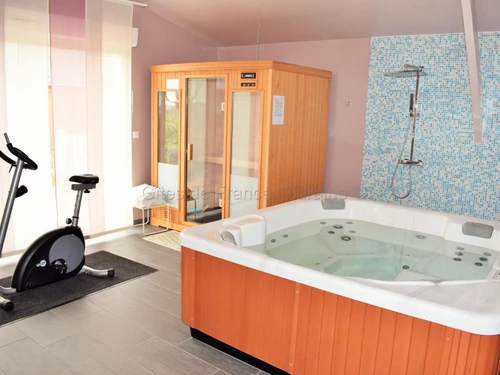 Gîte Benais, 4 pièces, 6 personnes - photo_12687350343