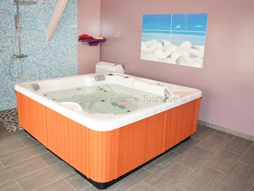 Gîte Benais, 4 pièces, 6 personnes - photo_12687350343