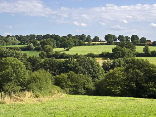 Gîte Vieure, 3 pièces, 4 personnes - photo_14487329253
