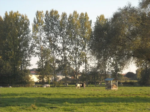 Gîte Verchain-Maugré, 3 pièces, 4 personnes - photo_1011542384956