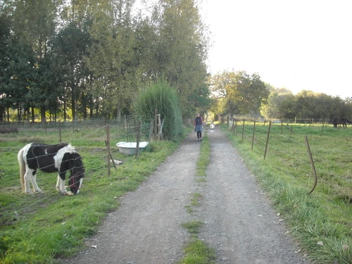 Gasthaus Verchain-Maugré, 2 Schlafzimmer, 4 Personen - photo_1011542385818