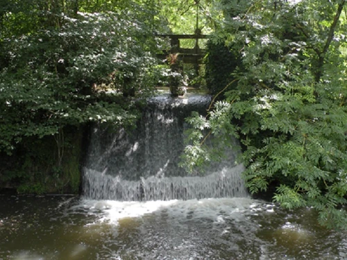 Gasthaus Sebourg, 2 Schlafzimmer, 4 Personen - photo_17080448605