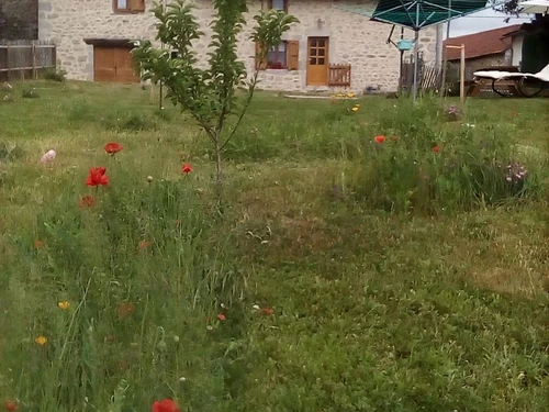 Gîte Le Rouget-Pers, 5 pièces, 8 personnes - photo_19655310745