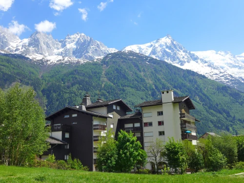 Apartamento Chamonix-Mont-Blanc, 1 dormitorio, 2 personas - photo_709601520