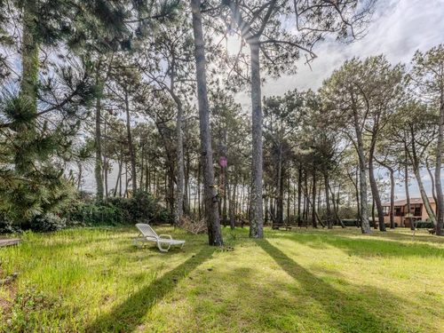 Villa Biscarrosse Plage, 2 bedrooms, 5 persons - photo_1011331177431