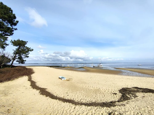 Villa Lège-Cap-Ferret, 2 Schlafzimmer, 5 Personen - photo_19386123595