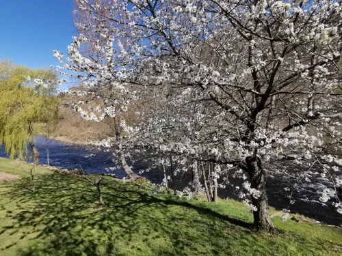 Gîte Saint-Julien-des-Chazes, 4 pièces, 6 personnes - photo_15004648611