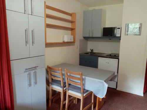 Appartement Les Adrets-Prapoutel, 1 pièce, 3 personnes - photo_14821538833