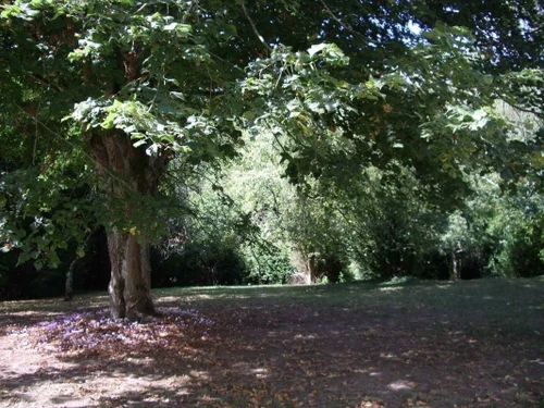 Gîte Souvigny-de-Touraine, 5 pièces, 8 personnes - photo_12687296681