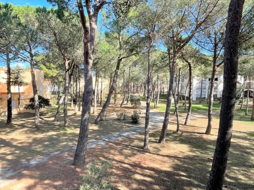 Apartment Argelès-sur-Mer, studio flat, 4 persons - photo_14769808116