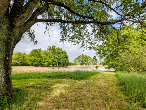 Gite Saulnay, 2 bedrooms, 5 persons - photo_14993920370