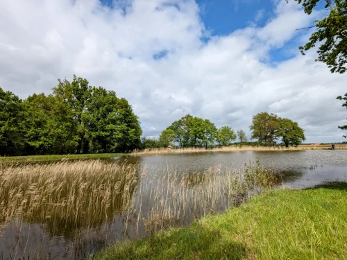 Gite Saulnay, 2 bedrooms, 5 persons - photo_14993920370