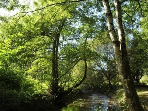 Gîte Saint-Calais-du-Désert, 4 pièces, 6 personnes - photo_15084981132