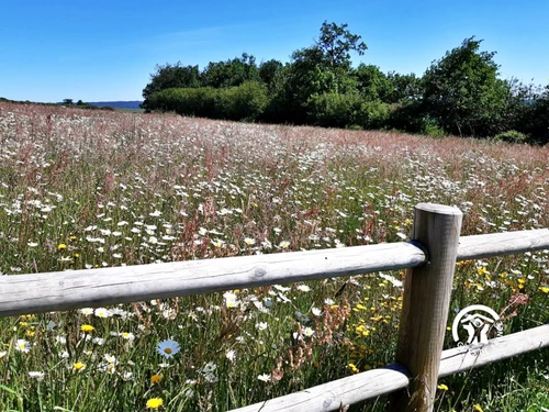 Gîte Saint-Calais-du-Désert, 4 pièces, 6 personnes - photo_15084981132