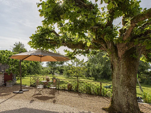 Gîte Cour-Cheverny, 4 pièces, 9 personnes - photo_1011586897359