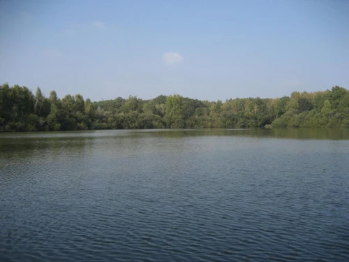 Gite Saint-Viâtre, 1 bedroom, 2 persons - photo_1011586901180