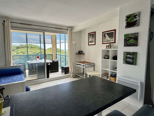 Appartement Argelès-sur-Mer, 2 pièces, 4 personnes - photo_1011587338964