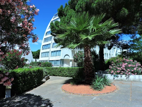 Appartement La Grande-Motte, 2 pièces, 4 personnes - photo_1011587726137