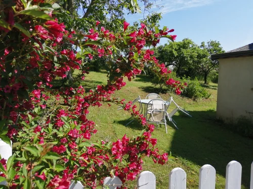 Gîte Montilliers, 2 pièces, 4 personnes - photo_1011587778638