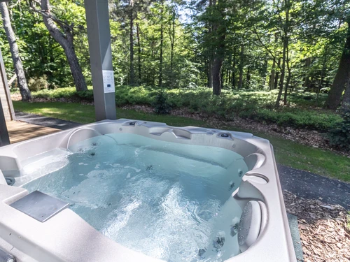 Gite Le Chambon-sur-Lignon, 1 bedroom, 4 persons - photo_18951116947